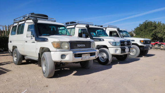 Local Jeep / Auto Stand